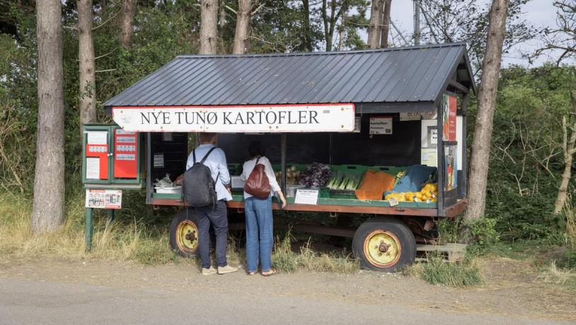 Kvinde og mand kigger i en vejsidebod med friske grøntsager på Tunø i Destination Kystlandet